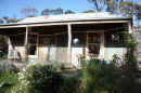 adv_ponderosa.jpg (72297 bytes)