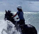 adv_qld_equathon.jpg (31665 bytes)