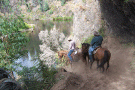 adv_vic_stockyardcreek.gif (66962 bytes)