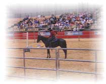 Janette and Mover showing their halt in competiton