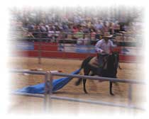 Guy and The Champ - tarp in tow (AGAIN)  in competition !